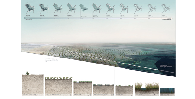 With or Without Water: Building Resilient Livelihoods in the Lake Chand Basin