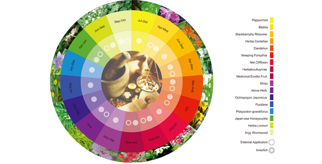 Portable Herb Handbook — Therapeutic Estates of Container