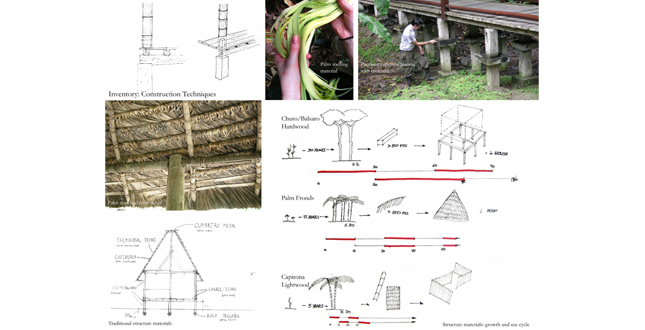 Cultural Sustainability: A Rainforest Community