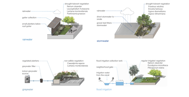 Water + Nature: Sustainable Growth Renewing Neighborhoods