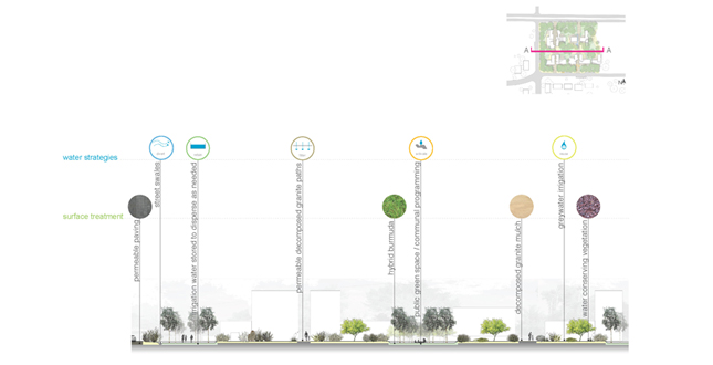 Water + Nature: Sustainable Growth Renewing Neighborhoods