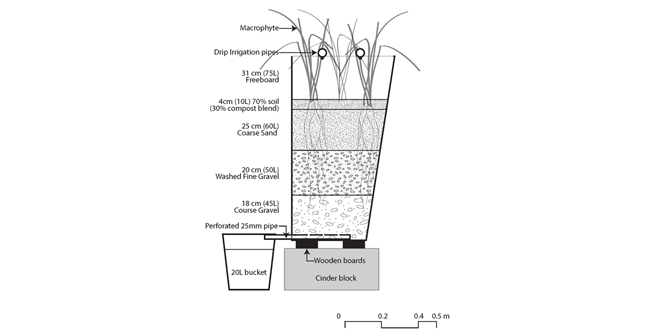 Potential Applications of the Vetiver System in the Lake Amatitlan Watershed, Guatemala