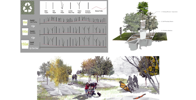 Urban Arboriculture