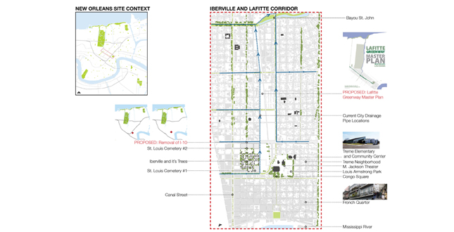 Big Old Tree: New Big Easy, using the New Orleans' Native Trees to Structure a New Plan for Iberville and the Lafitte Corridor