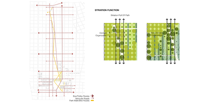 Big Old Tree: New Big Easy, using the New Orleans' Native Trees to Structure a New Plan for Iberville and the Lafitte Corridor