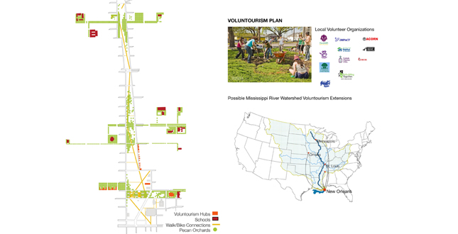 Big Old Tree: New Big Easy, using the New Orleans' Native Trees to Structure a New Plan for Iberville and the Lafitte Corridor