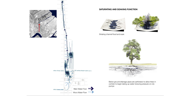 Big Old Tree: New Big Easy, using the New Orleans' Native Trees to Structure a New Plan for Iberville and the Lafitte Corridor