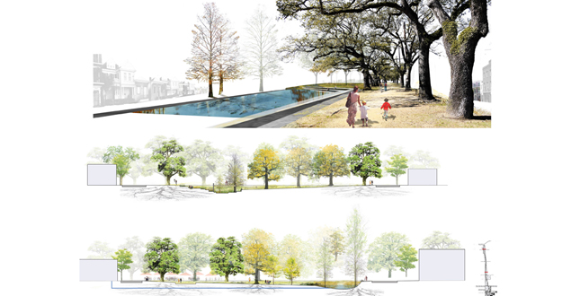 Big Old Tree: New Big Easy, using the New Orleans' Native Trees to Structure a New Plan for Iberville and the Lafitte Corridor