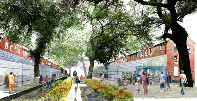 Big Old Tree: New Big Easy, using the New Orleans' Native Trees to Structure a New Plan for Iberville and the Lafitte Corridor