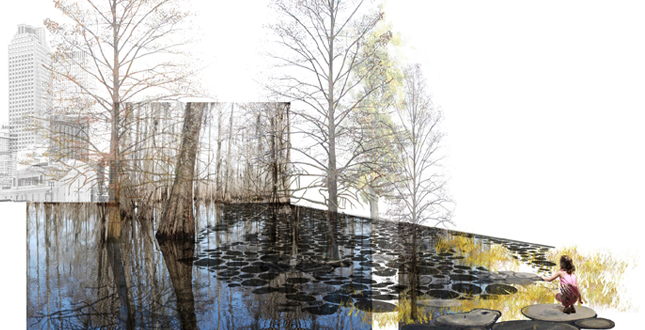 Big Old Tree: New Big Easy, using the New Orleans' Native Trees to Structure a New Plan for Iberville and the Lafitte Corridor