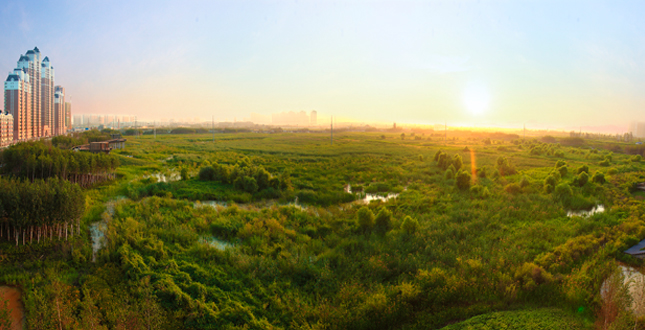 A Green Sponge for a Water-Resilient City: Qunli Stormwater Park