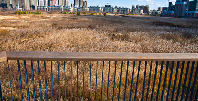 A Green Sponge for a Water-Resilient City: Qunli Stormwater Park