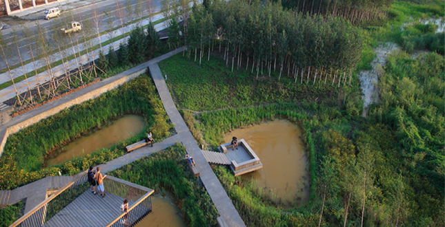 A Green Sponge for a Water-Resilient City: Qunli Stormwater Park