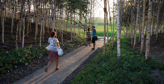 A Green Sponge for a Water-Resilient City: Qunli Stormwater Park