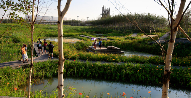 A Green Sponge for a Water-Resilient City: Qunli Stormwater Park