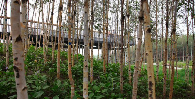 A Green Sponge for a Water-Resilient City: Qunli Stormwater Park