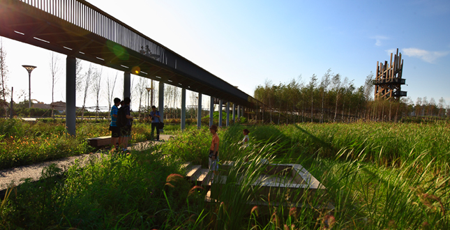 A Green Sponge for a Water-Resilient City: Qunli Stormwater Park