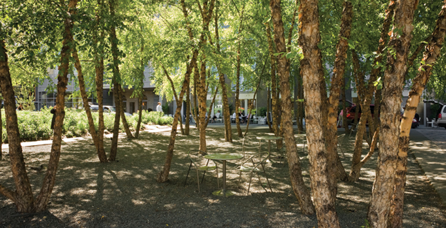 Village of Yorkville Park