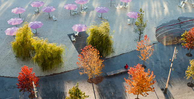 Canada’s Sugar Beach