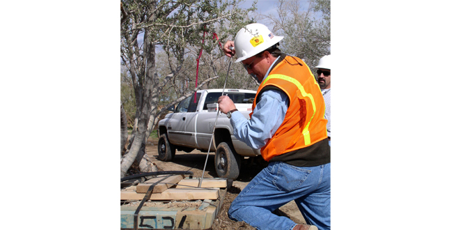 Ironwood and Saguaro Transplant Studies