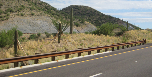 Ironwood and Saguaro Transplant Studies