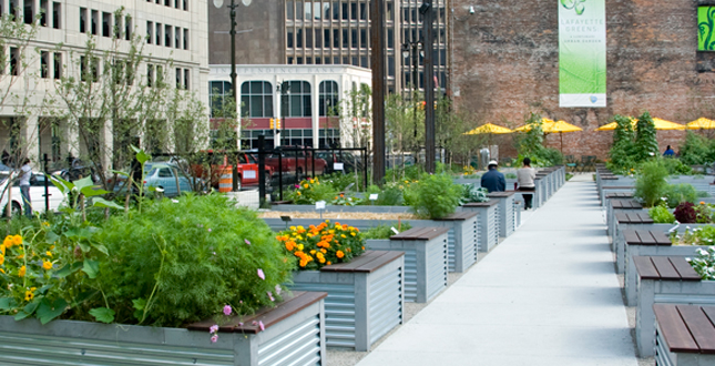 Lafayette Greens: Urban Agriculture, Urban Fabric, Urban Sustainability