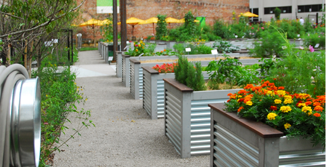 Lafayette Greens: Urban Agriculture, Urban Fabric, Urban Sustainability