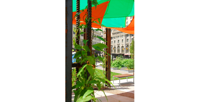 Lafayette Greens: Urban Agriculture, Urban Fabric, Urban Sustainability