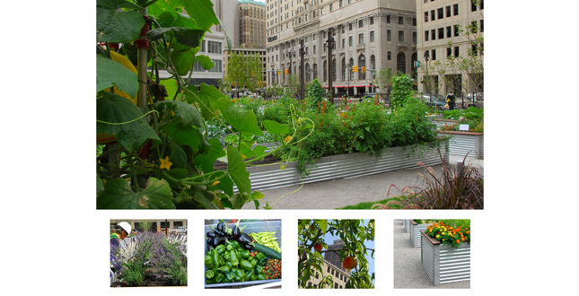 Lafayette Greens: Urban Agriculture, Urban Fabric, Urban Sustainability