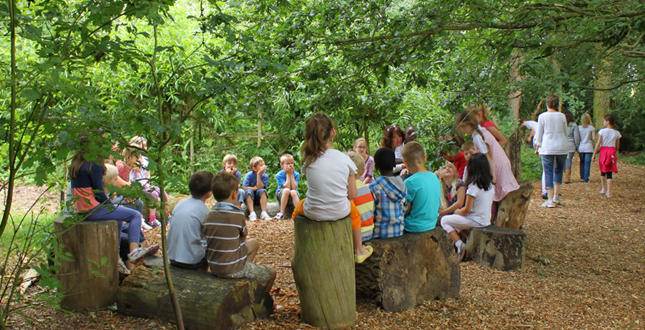 Asphalt to Ecosystems: Design Ideas for Schoolyard Transformation