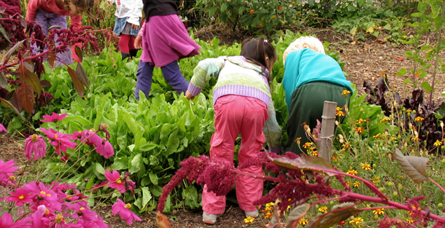 Asphalt to Ecosystems: Design Ideas for Schoolyard Transformation