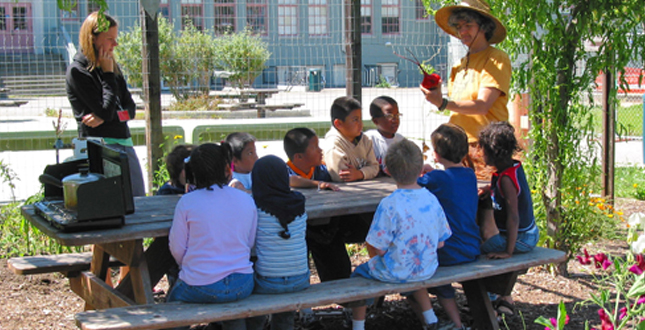 Asphalt to Ecosystems: Design Ideas for Schoolyard Transformation