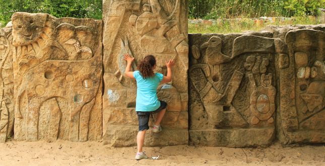 Asphalt to Ecosystems: Design Ideas for Schoolyard Transformation