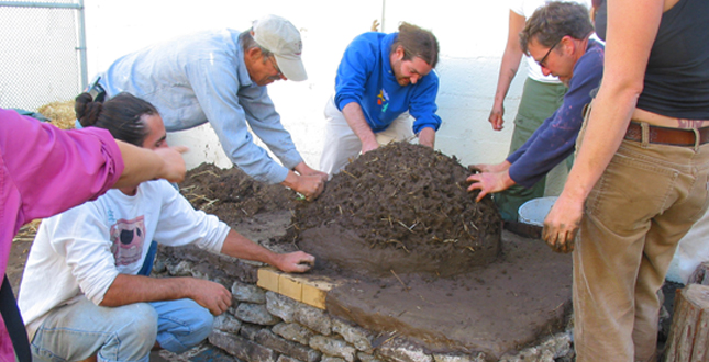 Asphalt to Ecosystems: Design Ideas for Schoolyard Transformation