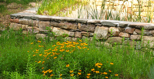 Asphalt to Ecosystems: Design Ideas for Schoolyard Transformation