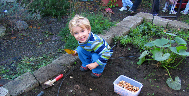 Asphalt to Ecosystems: Design Ideas for Schoolyard Transformation