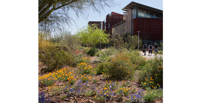 Arizona State University Polytechnic Campus — New Academic Complex