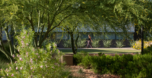 Arizona State University Polytechnic Campus — New Academic Complex