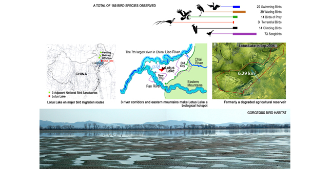 Core Area of Lotus Lake National Wetland Park Landscape Planning