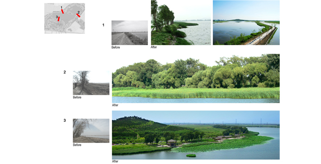 Core Area of Lotus Lake National Wetland Park Landscape Planning