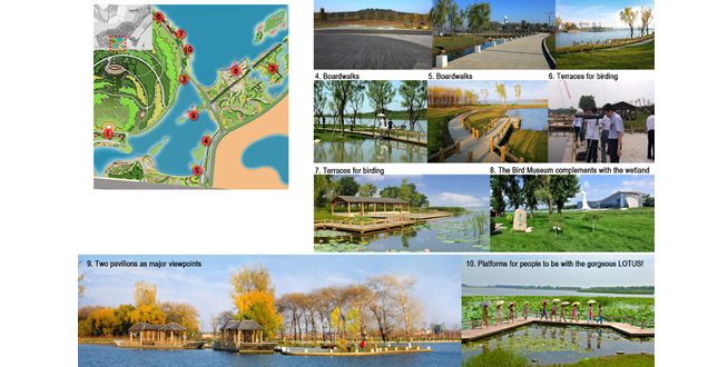 Core Area of Lotus Lake National Wetland Park Landscape Planning