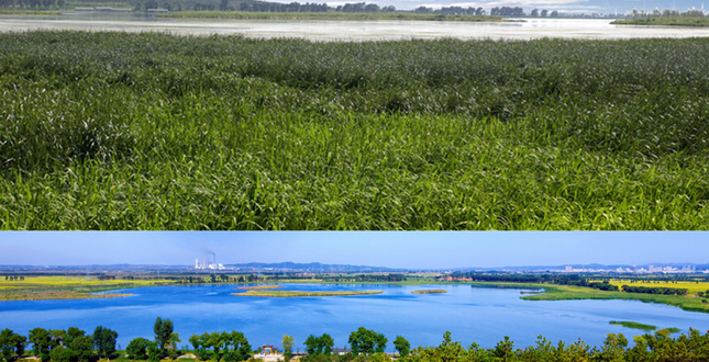 Core Area of Lotus Lake National Wetland Park Landscape Planning