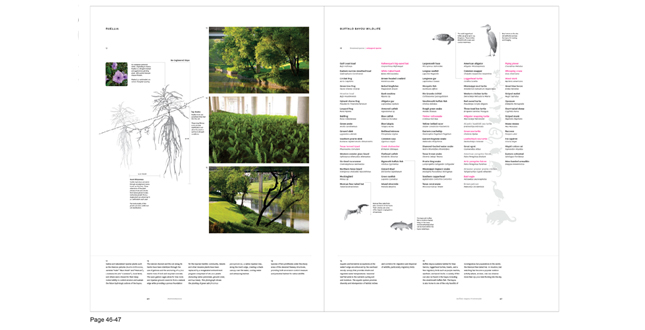 Landscape Infrastructure: essays + case studies