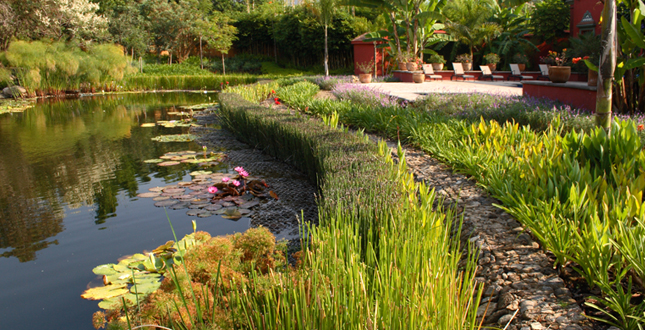 Malinalco Private Residence