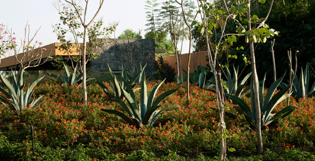 Malinalco Private Residence