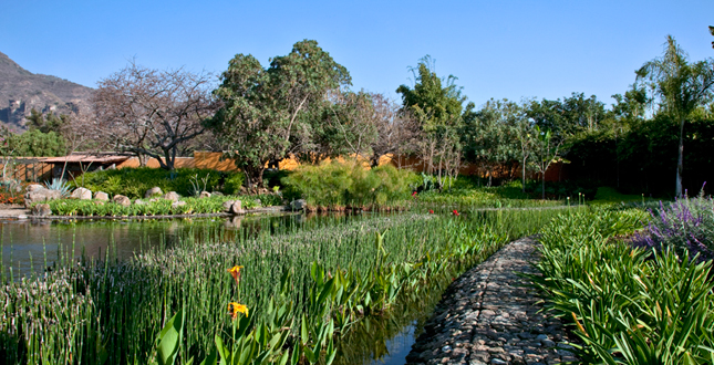 Malinalco Private Residence