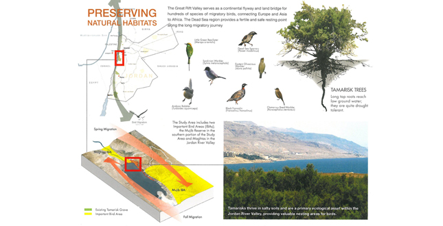 A Strategic Masterplan for the Dead Sea