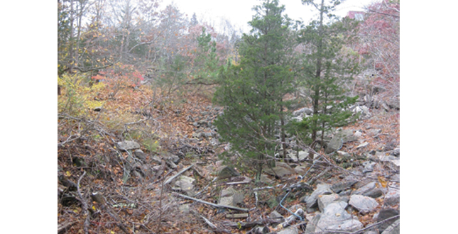 TReordering Old Quarry