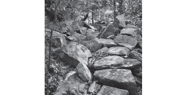 TReordering Old Quarry