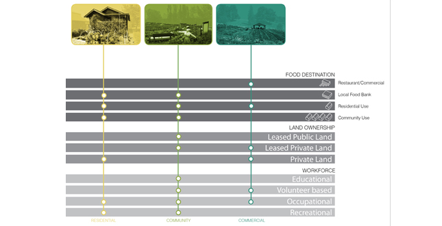 Productive Neighborhoods: A Case Study Based Exploration of Seattle Urban Agriculture Projects